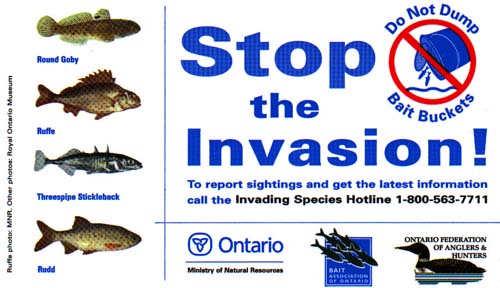 Stop The Invasion